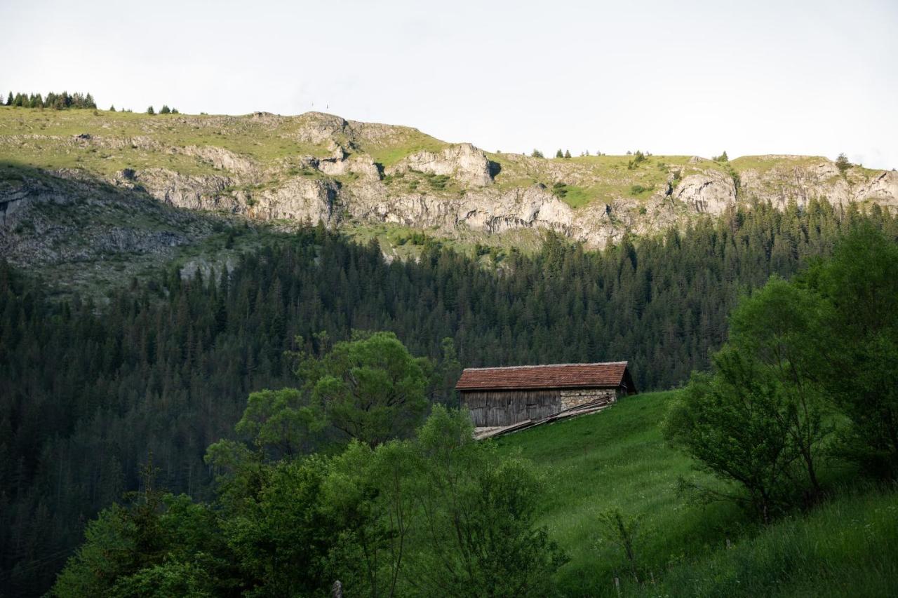 Villa Къща До Гората Триград Extérieur photo