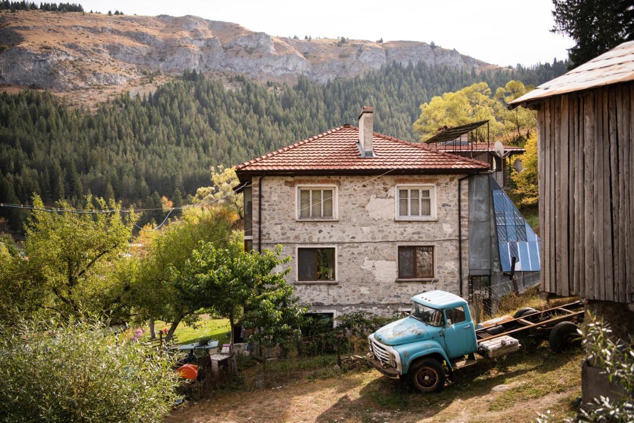 Villa Къща До Гората Триград Extérieur photo