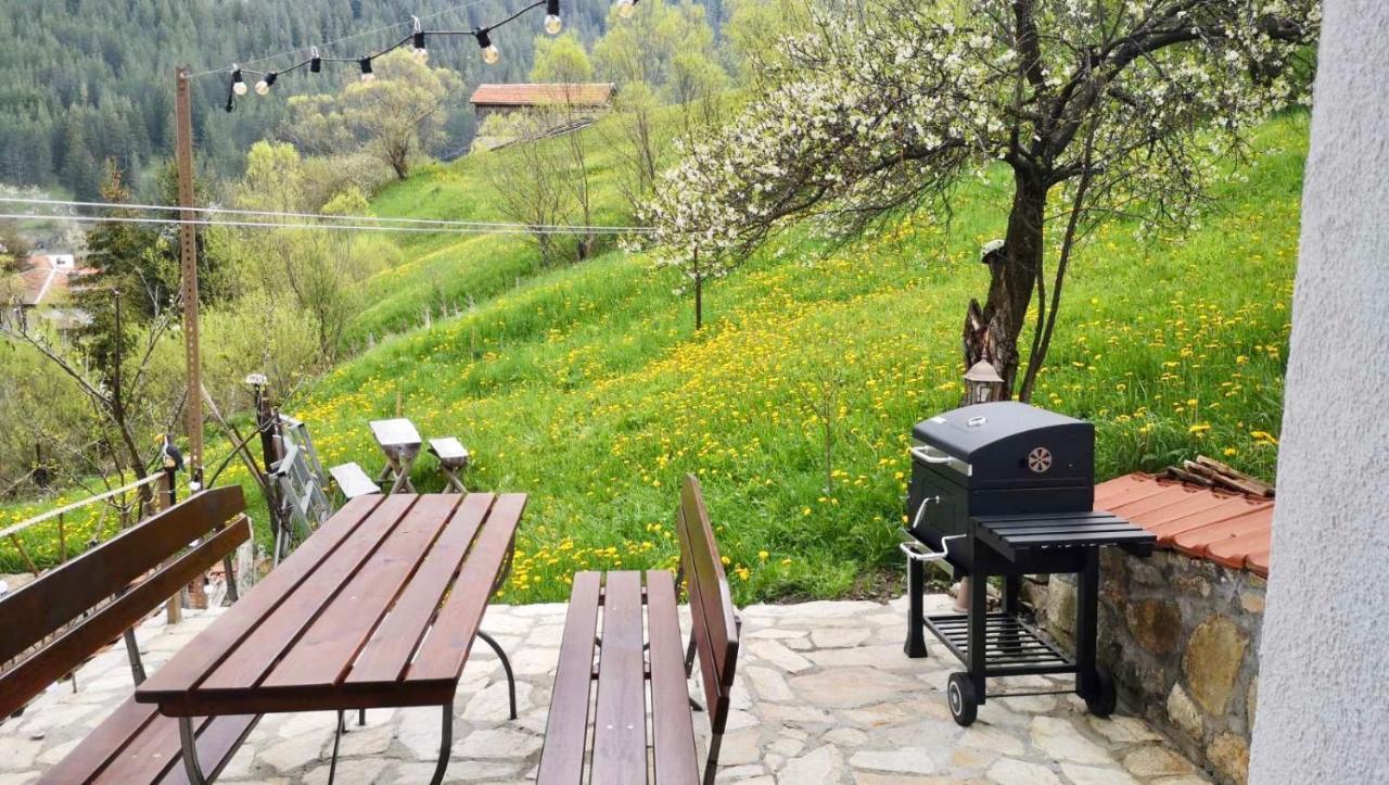 Villa Къща До Гората Триград Extérieur photo